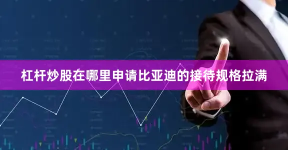 杠杆炒股在哪里申请比亚迪的接待规格拉满