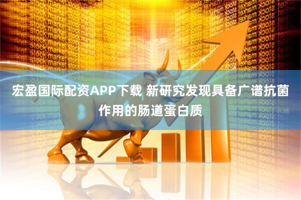 宏盈国际配资APP下载 新研究发现具备广谱抗菌作用的肠道蛋白质