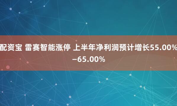 配资宝 雷赛智能涨停 上半年净利润预计增长55.00%—65.00%